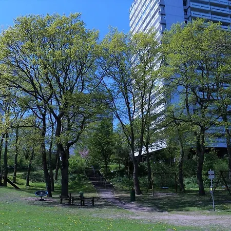 Panoramic App B06-1