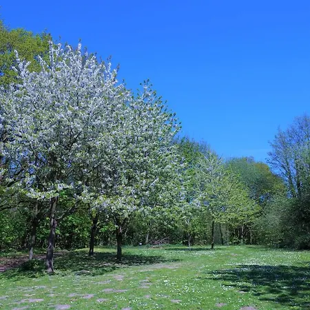 Lejlighed Panoramic App B06-1 Sierksdorf